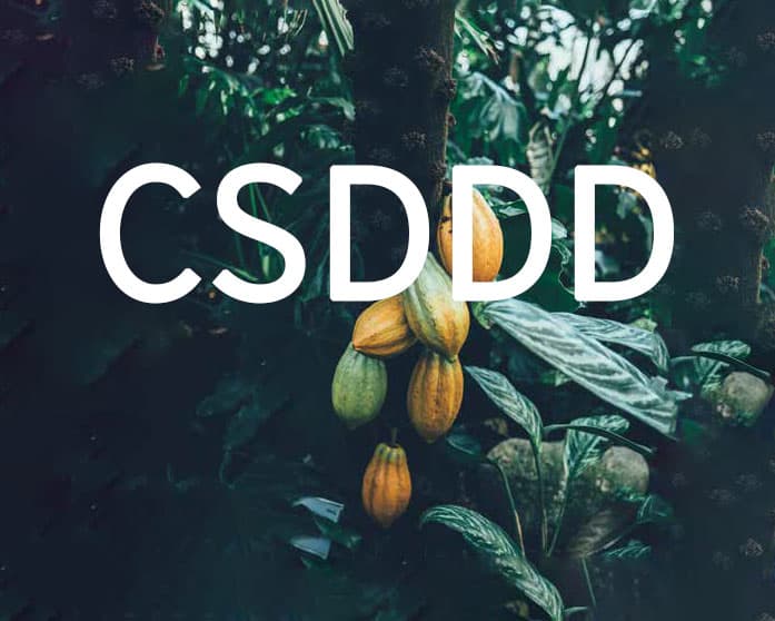CSDDD Nachhaltigkeit als Pflicht EY Law