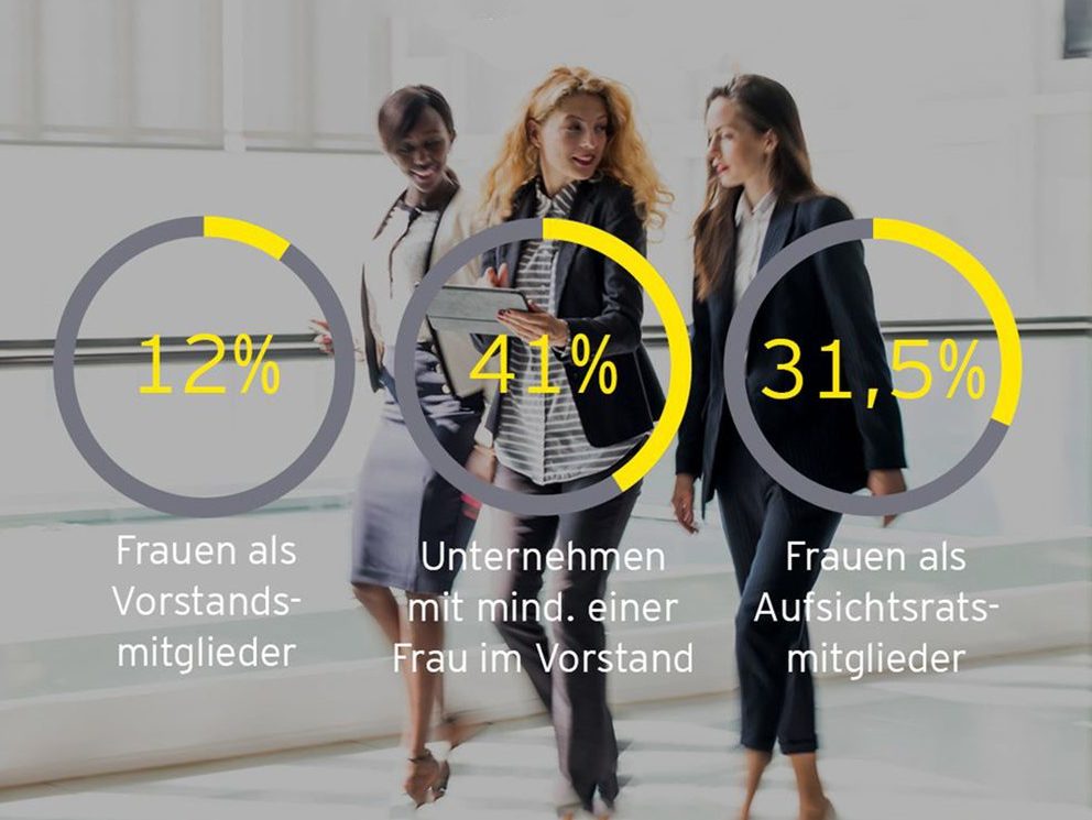 EY Mixed Leadership Barometer Österreich August 2024 Diversity Frauenquote - studie - Leadership women Mixed Leadership Austria